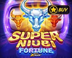 Super Niubi Fortune X-Huge