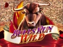 Bulls Run Wild